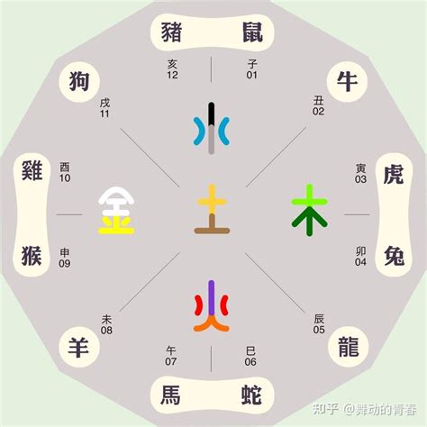 羊屬五行|生肖屬羊人的五行與財運